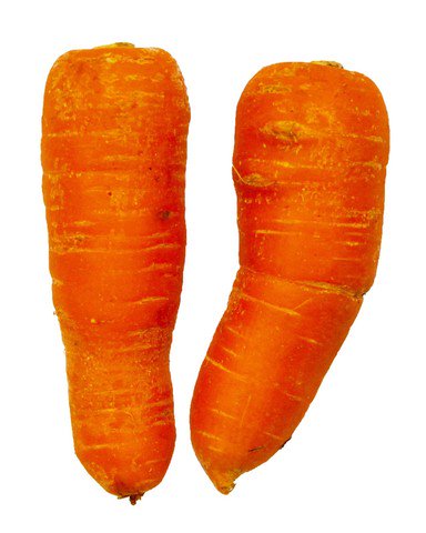 The Living Farm Carrots 270g
