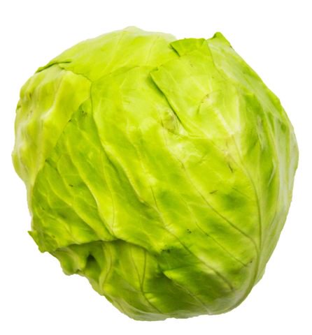 The Living Farm Cabbage 1kg