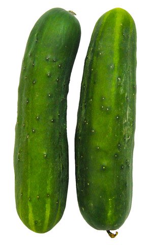 The Living Farm Cucumber 450g