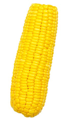 The Living Farm Japanese Corn 1pc