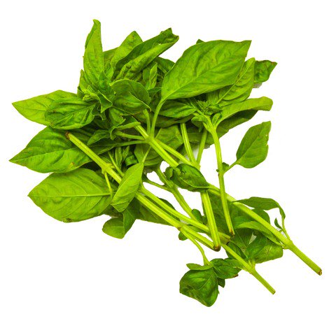 The Living Farm Basil Leaves 20g