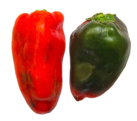 The Living Farm Bell Pepper Red 140g