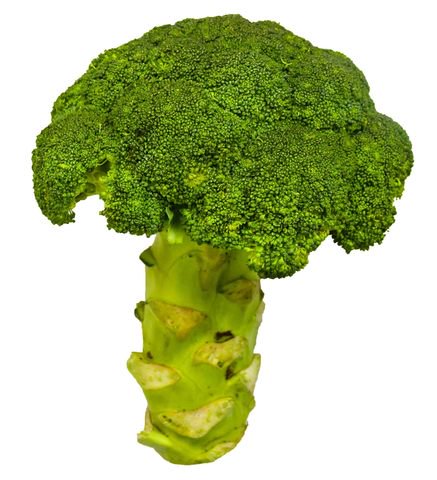 The Living Farm Broccoli Baguio 650g