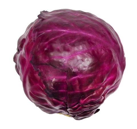 The Living Farm Cabbage Red 550g