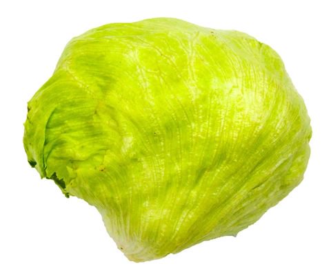 The Living Farm Lettuce Baguio 350g