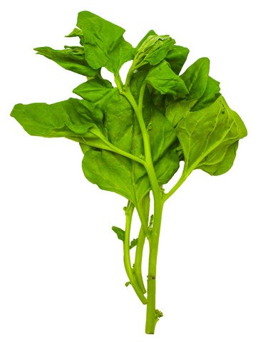 The Living Farm Spinach 70g