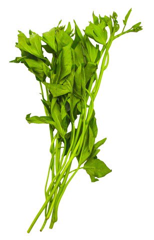 The Living Farm Camote Tops 50g