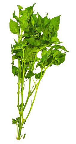 The Living Farm Chili Leaves 30g