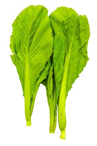 The Living Farm Mustard Leaves 20g