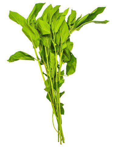 The Living Farm Saluyot Leaves 40g