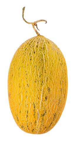 Sunny Phil Hami Melon 1.7kg