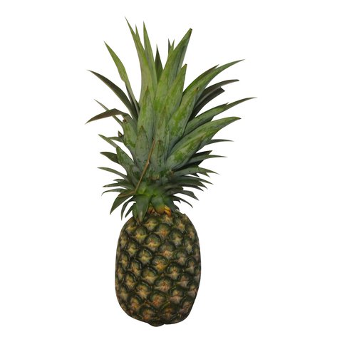 Sunny Phil Pineapple Super Small