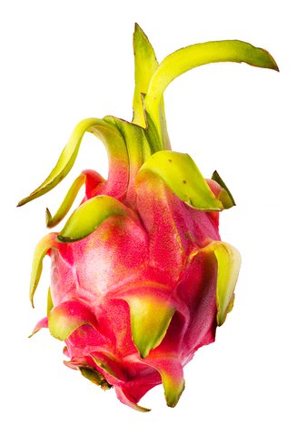 Sunny Phil Dragon Fruits