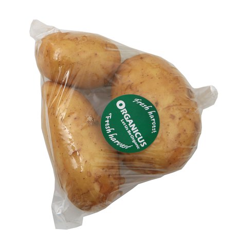 Healthy You Organic Potato Regular 1pack